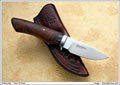 Sparrow2